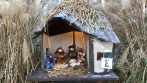 WhatsApp Image 2021-12-26 at 12.05.06 PM