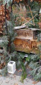 55e51d0a-be73-4314-a763-482160a31cd5